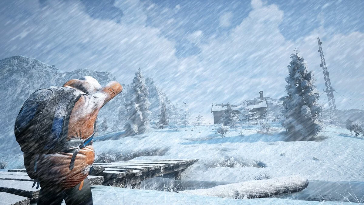 Скриншот из игры Winter Survival - 15