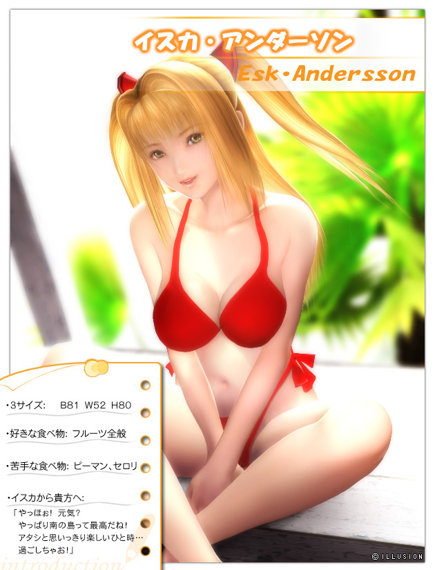 Скриншот из игры Sexy Beach 3 - 5