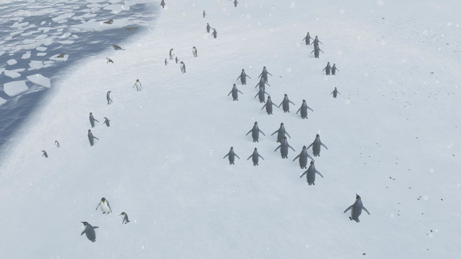 Скриншот из игры Natural Instincts - 14