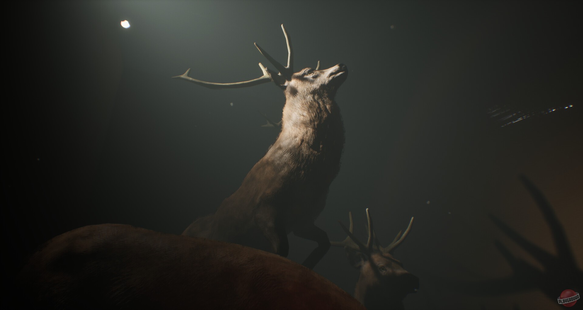 Скриншот из игры Project 13: Taxidermy Trails - 4