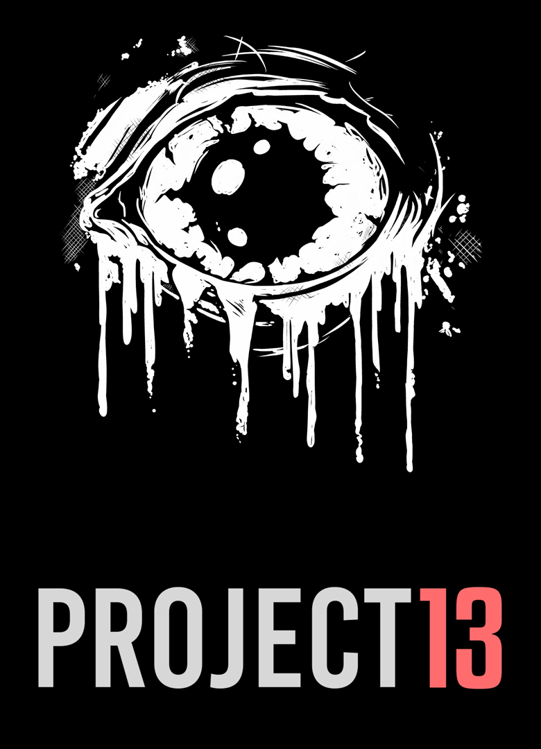 Обложка игры Project 13