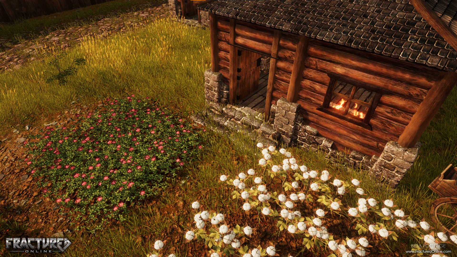 Скриншот из игры Fractured Online - 58