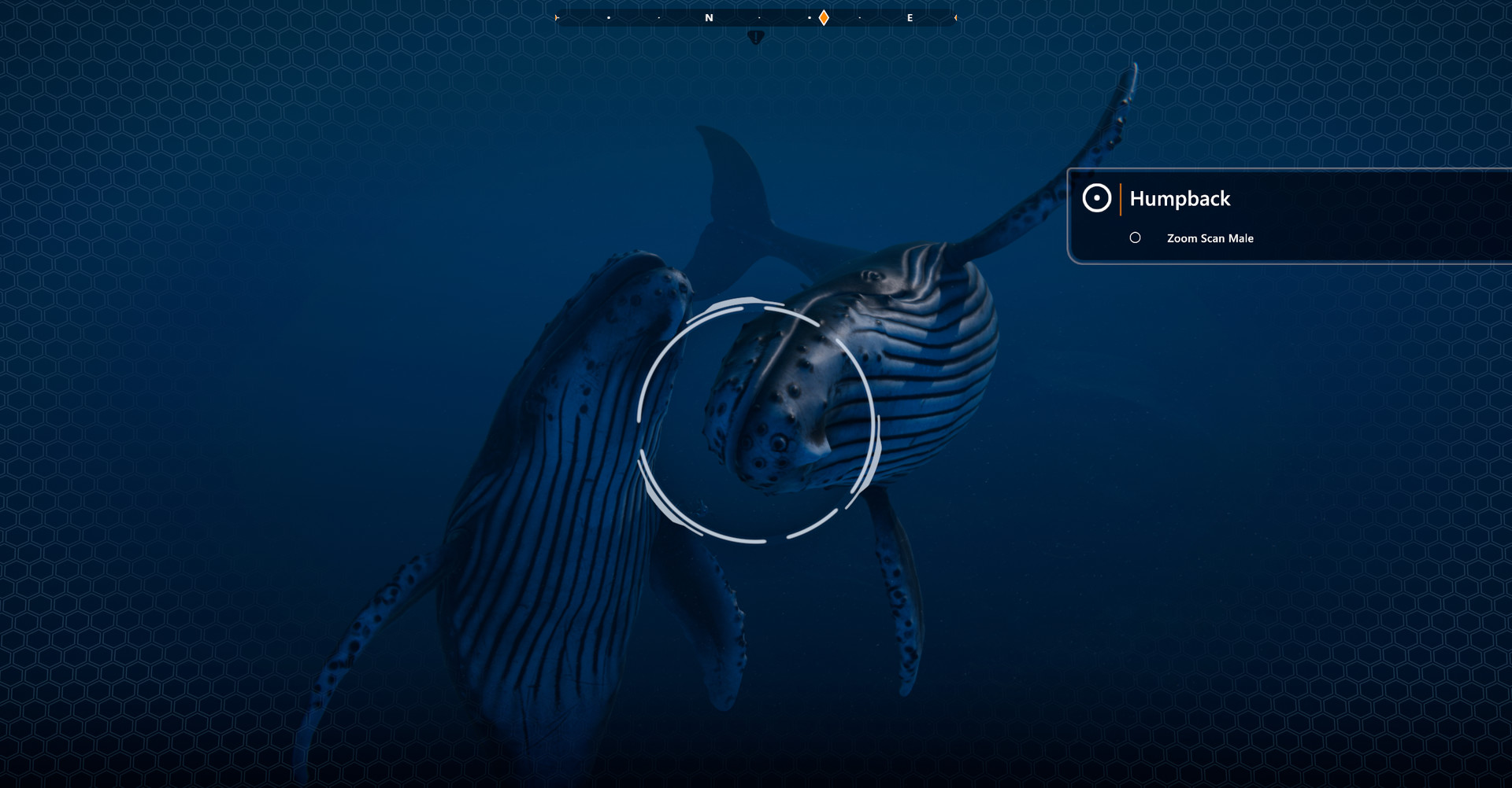 Скриншот из игры Beyond Blue - 29