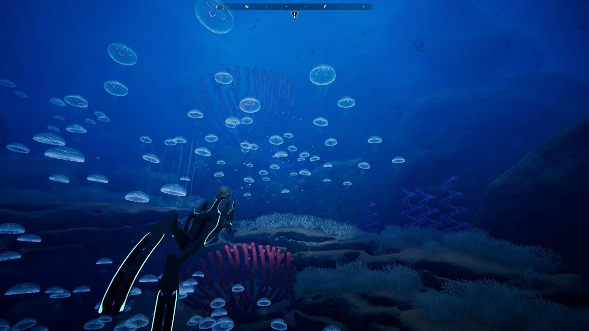 Скриншот из игры Beyond Blue - 45