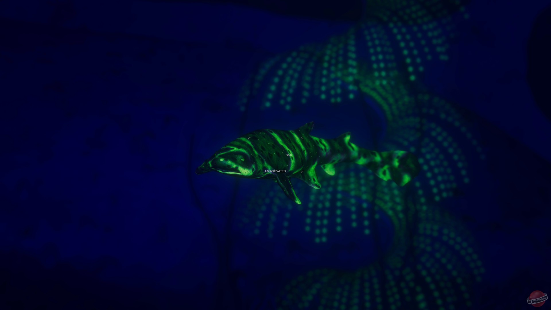 Скриншот из игры Beyond Blue - 43