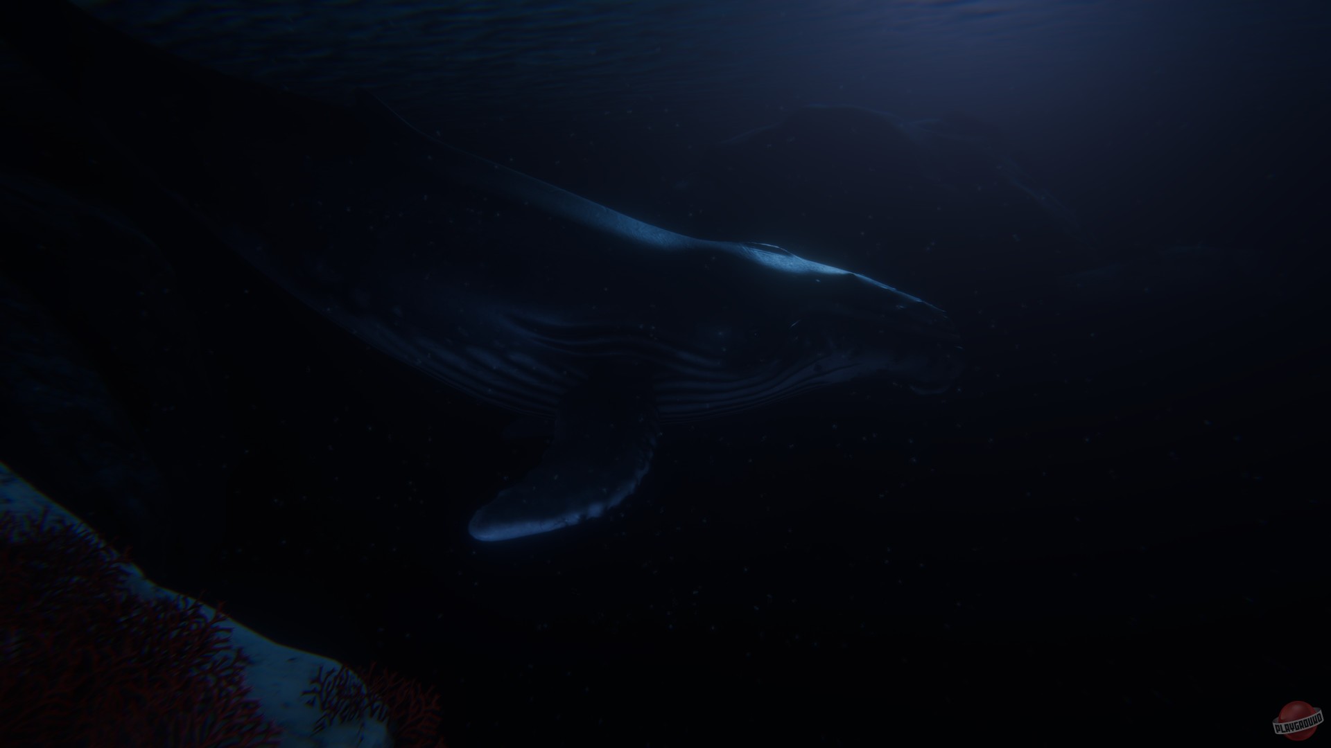 Скриншот из игры Beyond Blue - 23