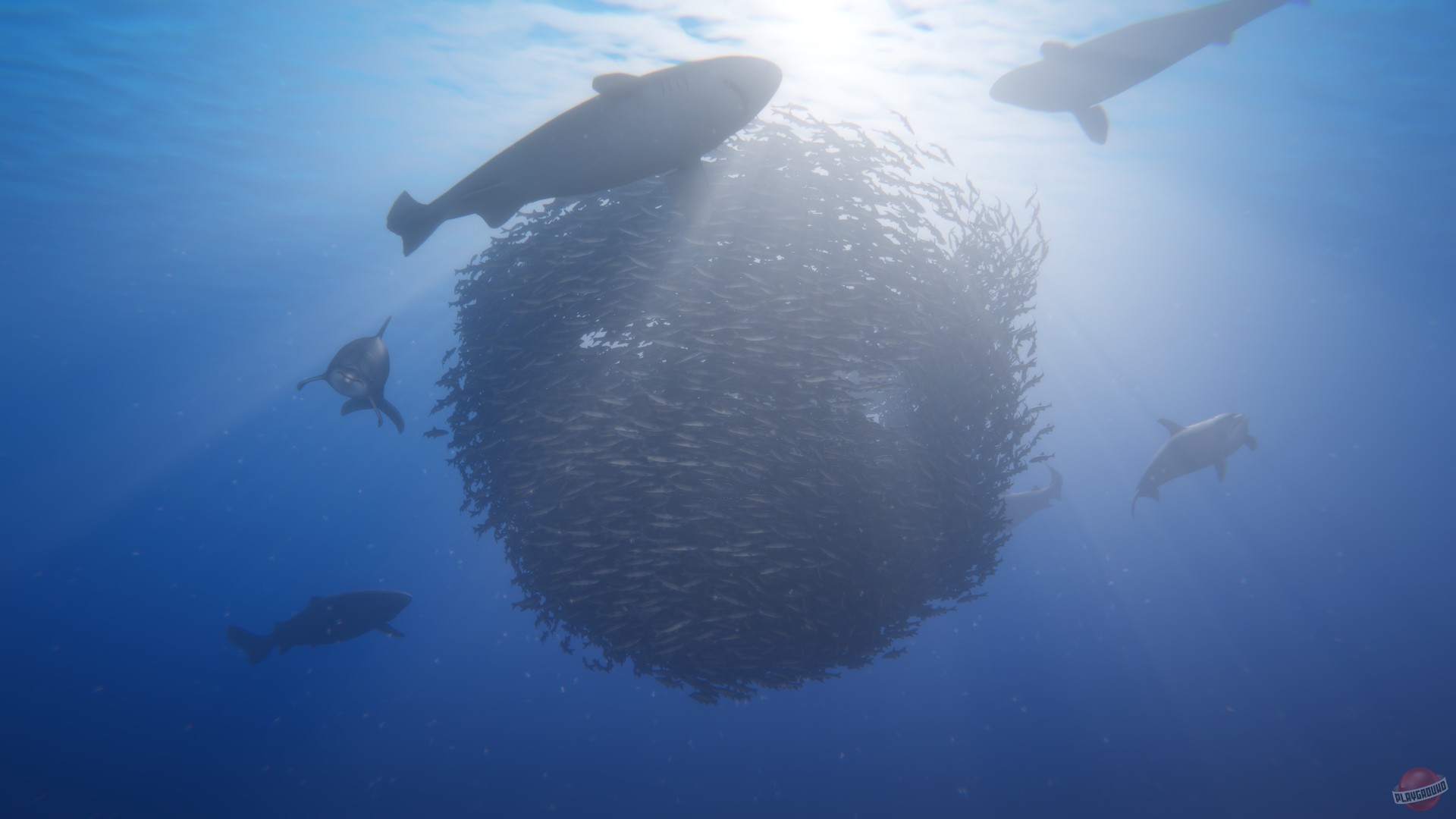 Скриншот из игры Beyond Blue - 36