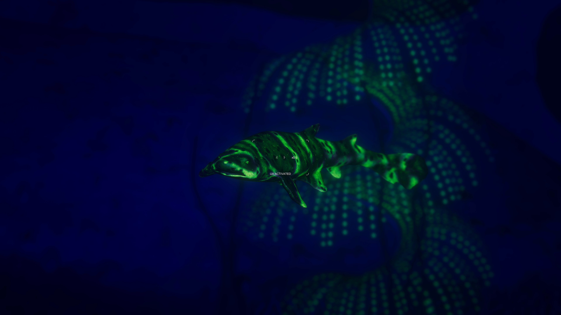 Скриншот из игры Beyond Blue - 4