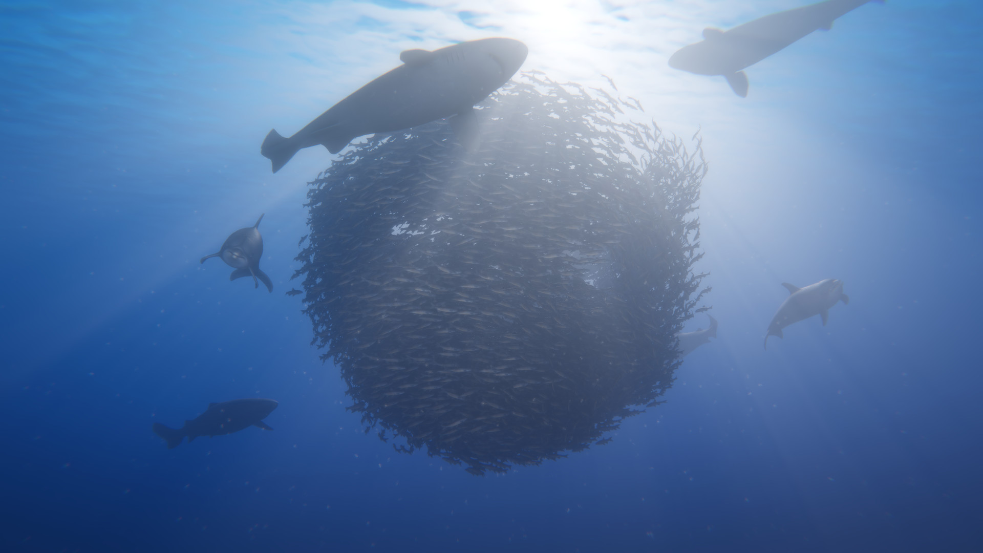 Скриншот из игры Beyond Blue - 5