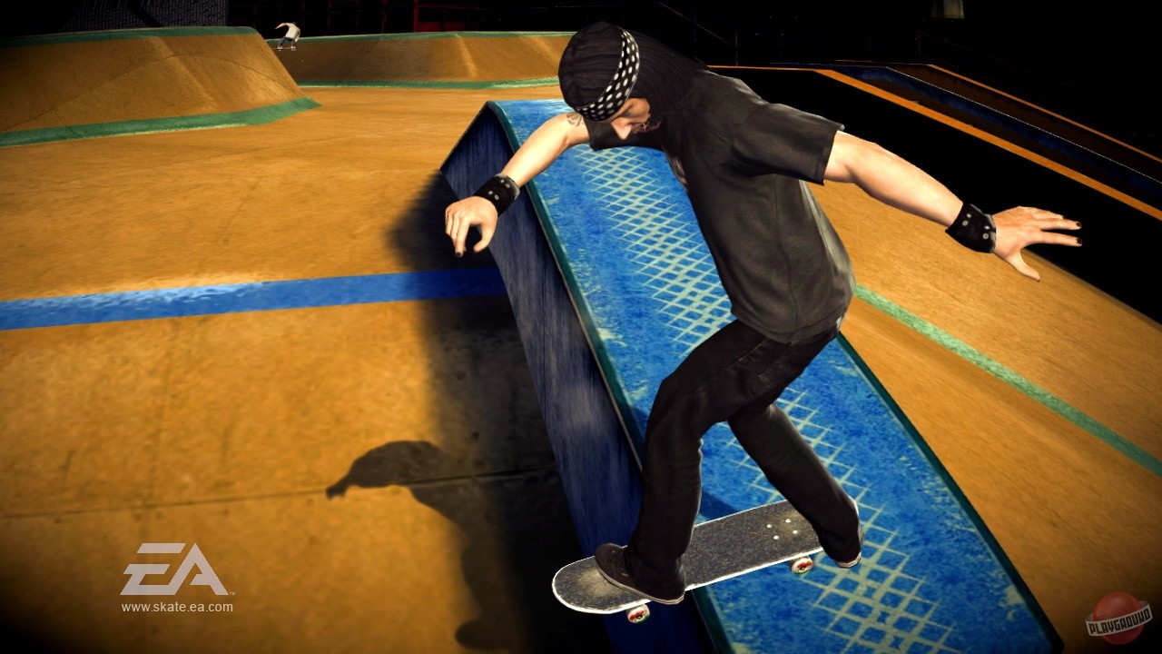 Скриншот из игры skate - 18