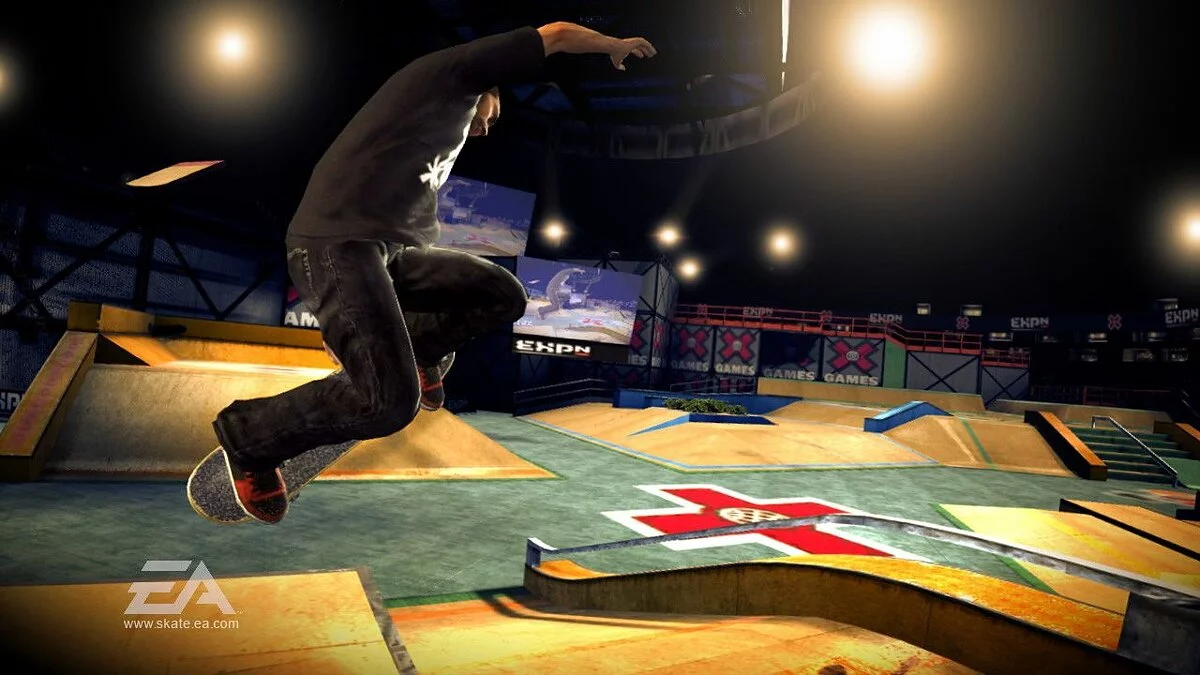 Скриншот из игры skate - 23