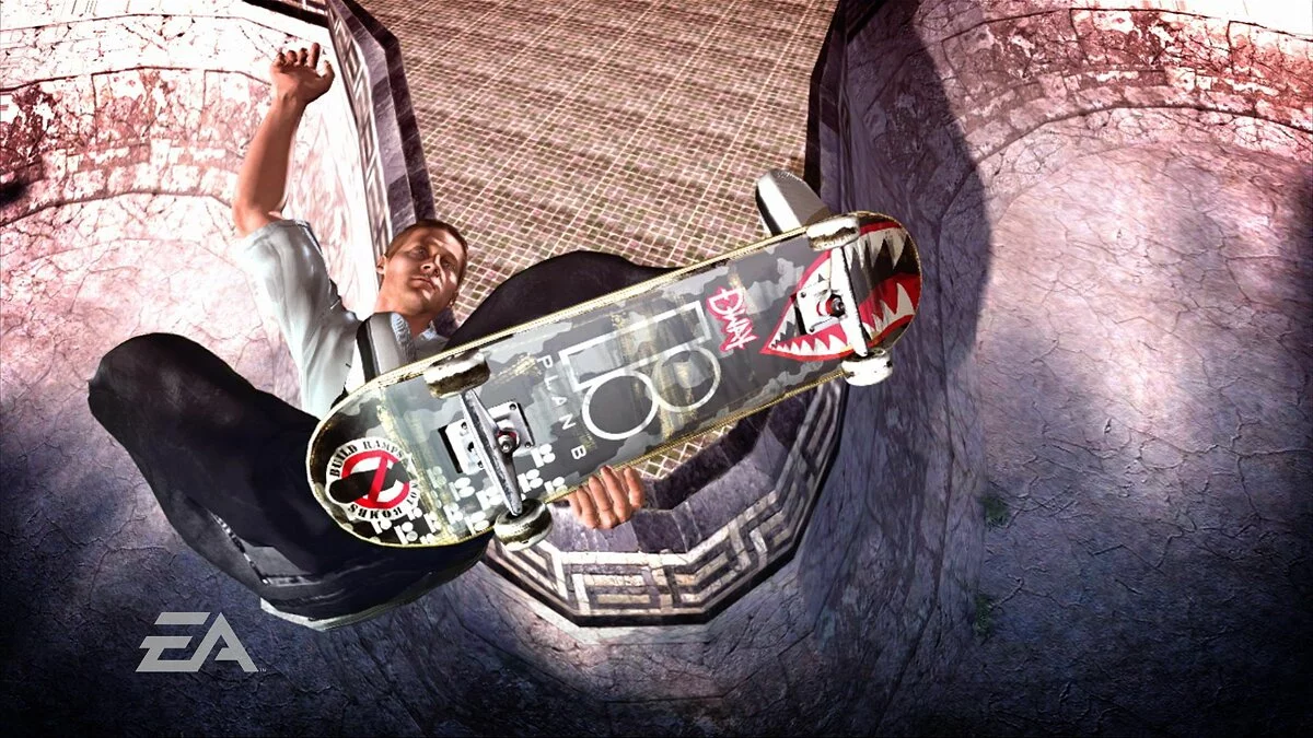 Скриншот из игры skate - 17