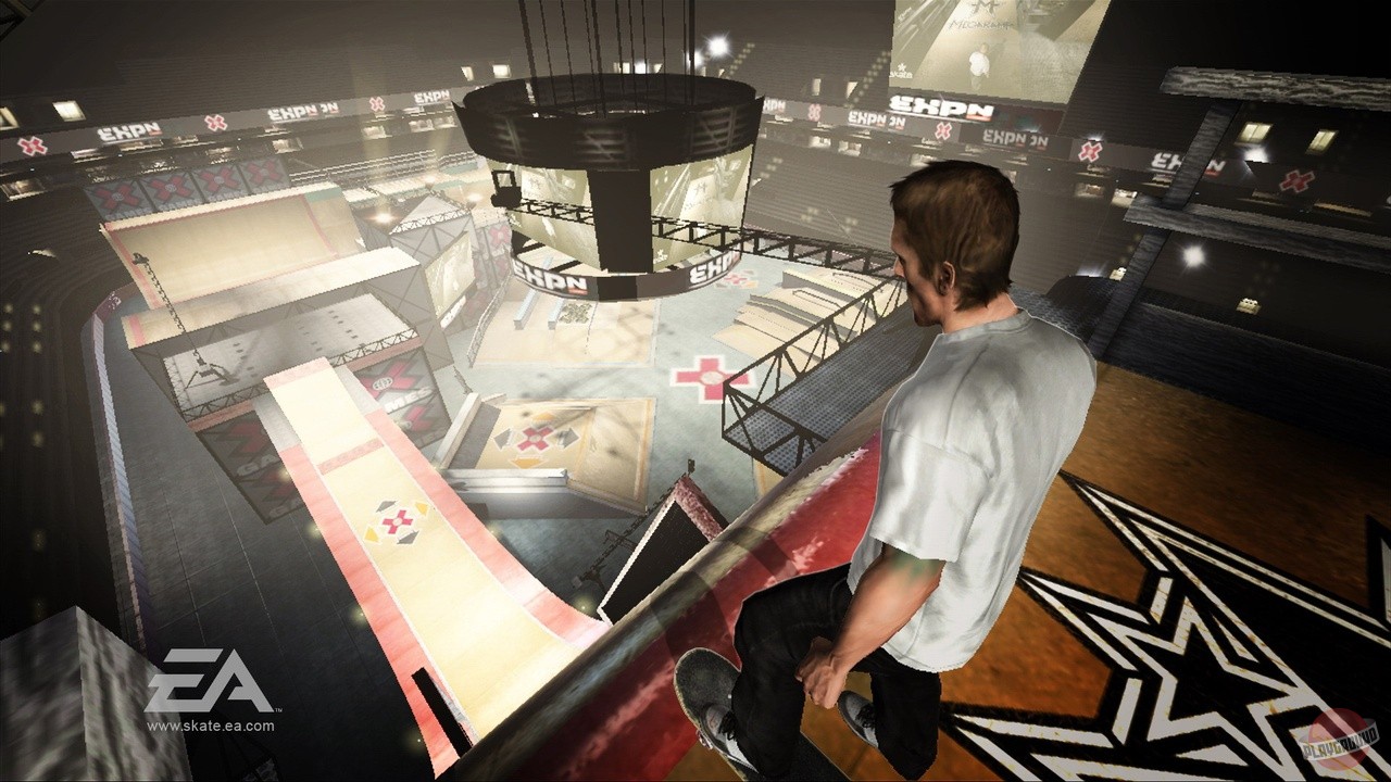 Скриншот из игры skate - 22