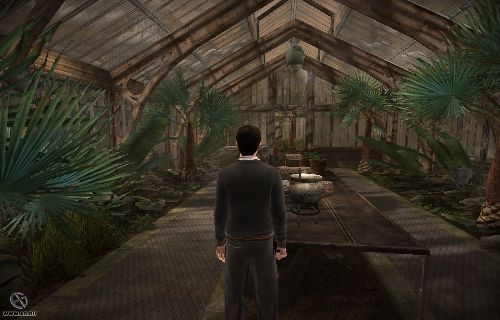 Скриншот из игры Harry Potter and the Half-Blood Prince - 121