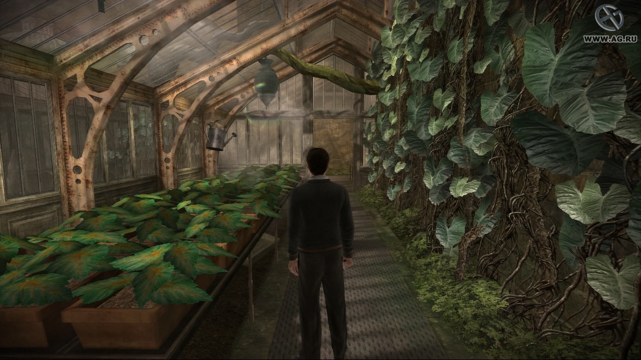 Скриншот из игры Harry Potter and the Half-Blood Prince - 140