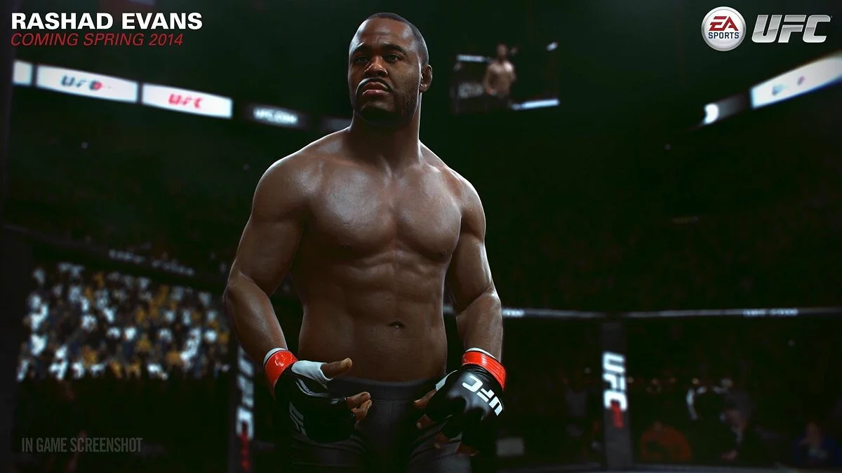 Скриншот из игры EA Sports UFC - 90