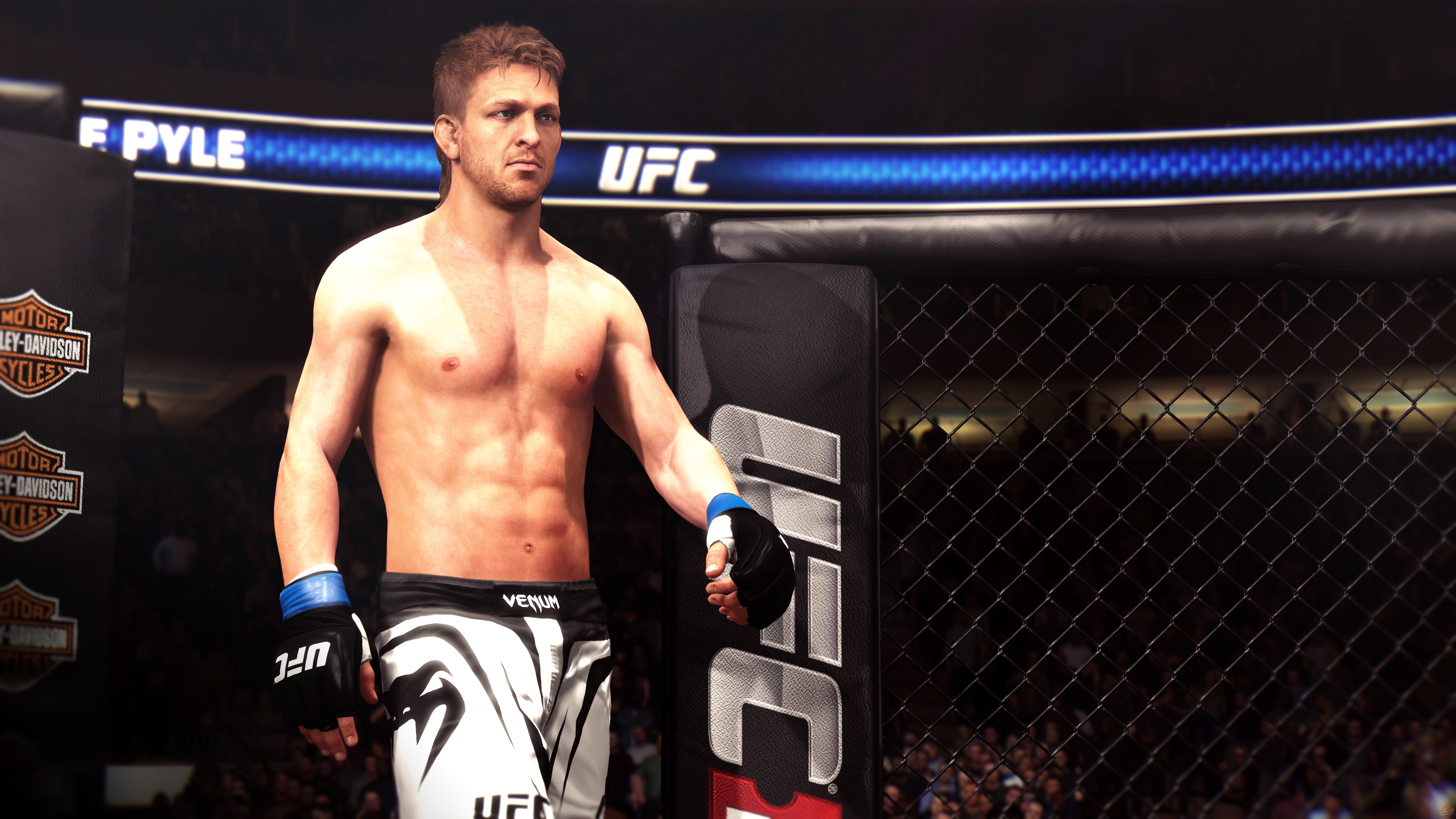 Скриншот из игры EA Sports UFC - 93