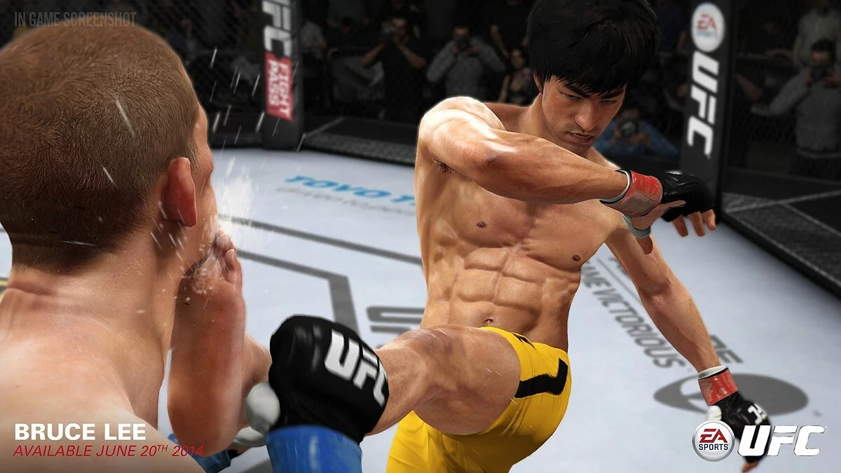 Скриншот из игры EA Sports UFC - 98