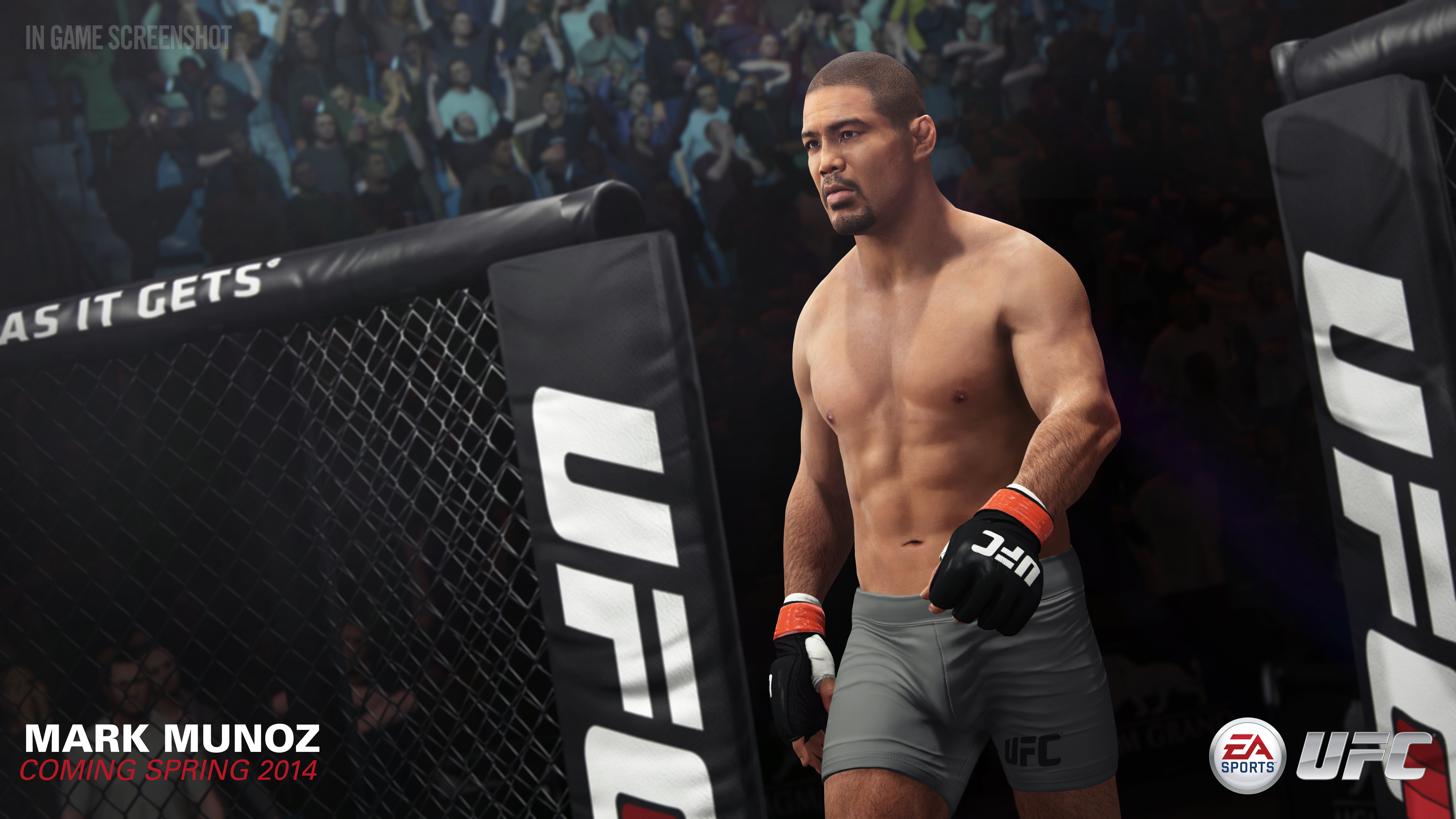 Скриншот из игры EA Sports UFC - 109