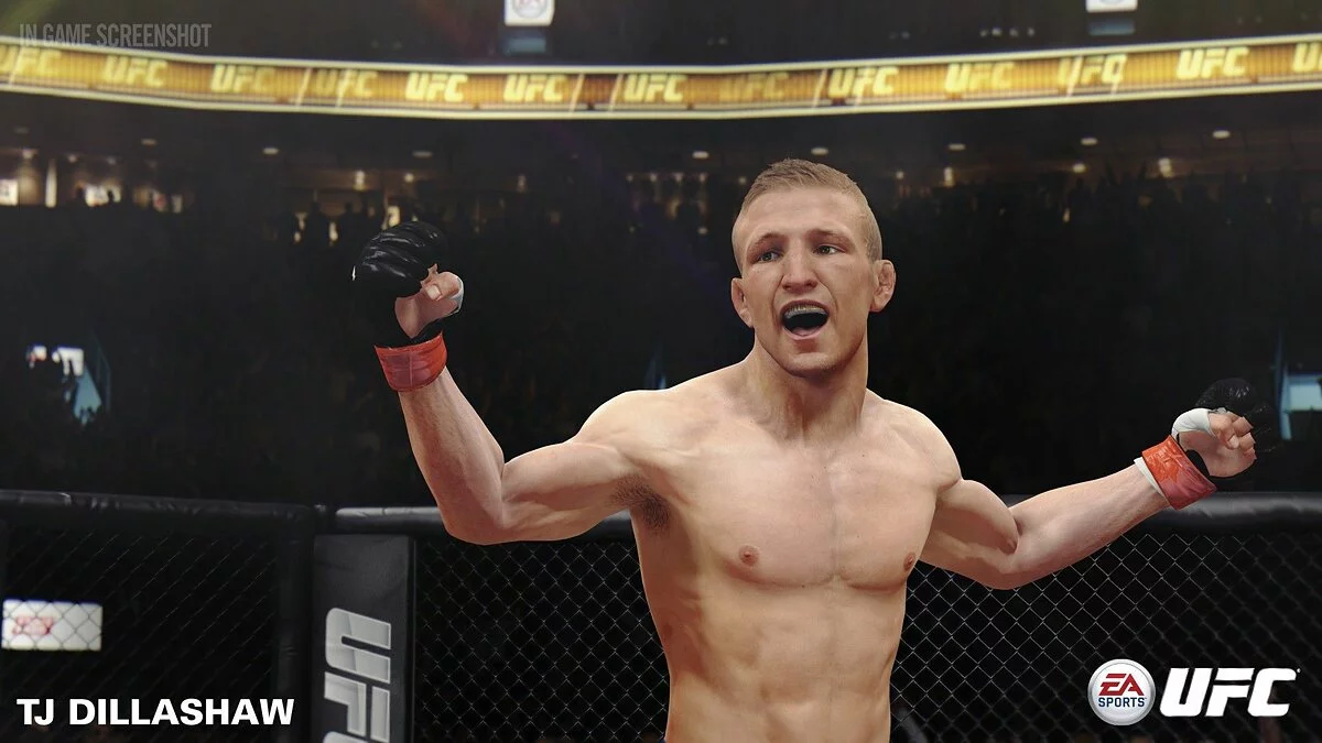 Скриншот из игры EA Sports UFC - 104