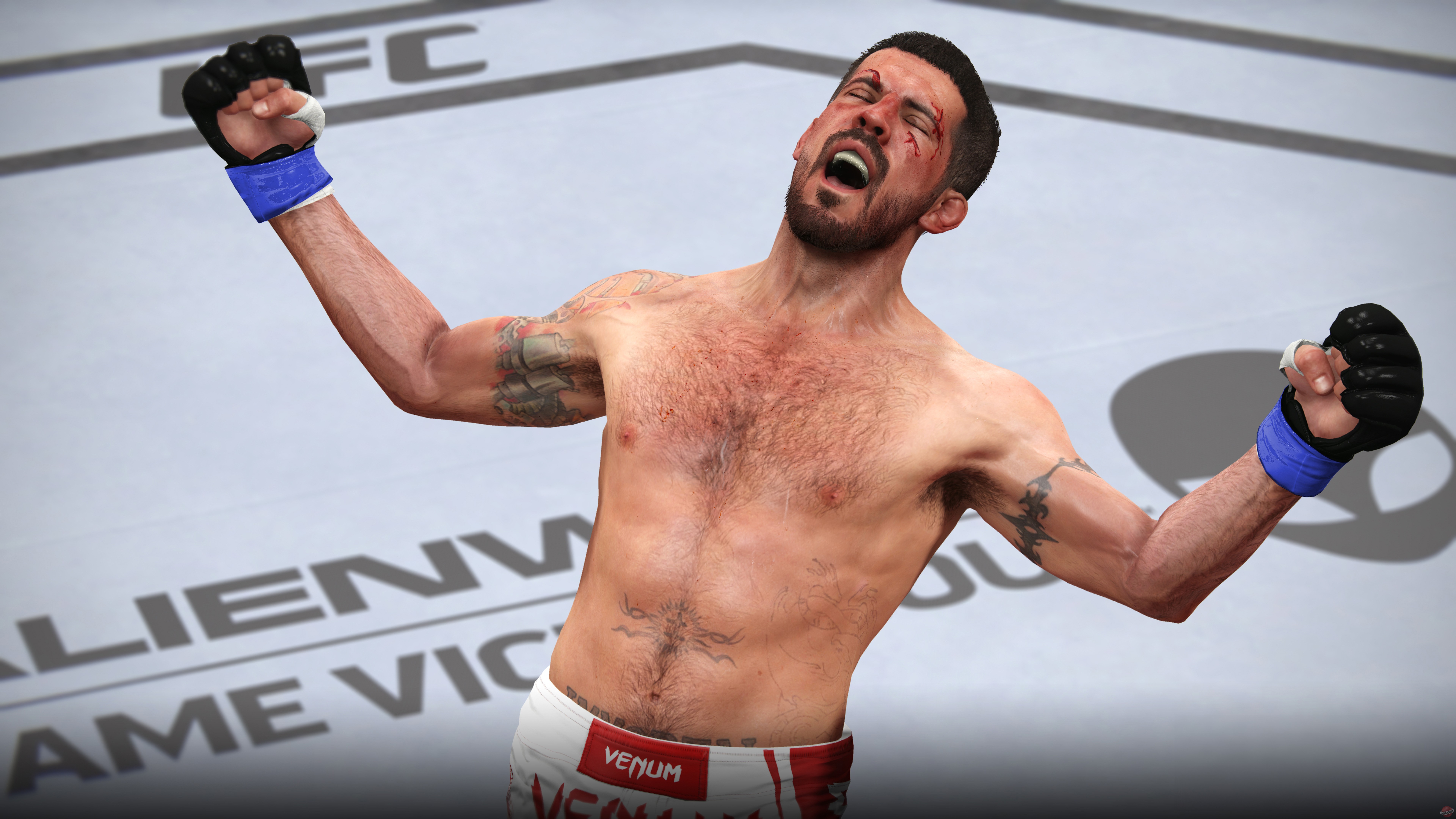 Скриншот из игры EA Sports UFC - 99
