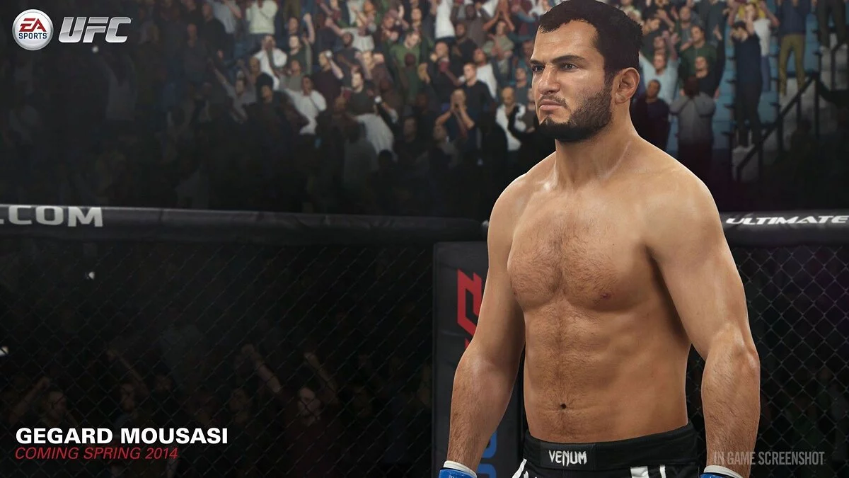 Скриншот из игры EA Sports UFC - 116