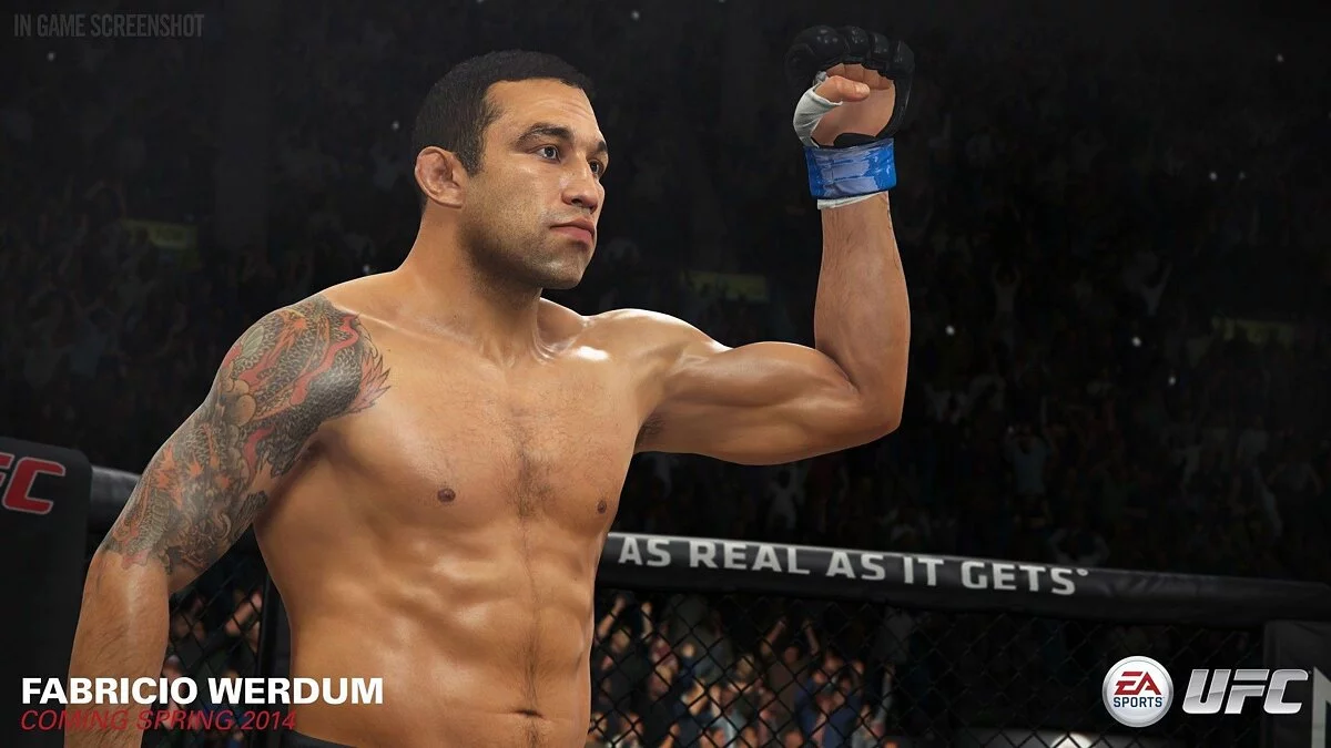 Скриншот из игры EA Sports UFC - 112