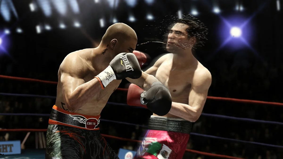 Скриншот из игры Fight Night Champion - 18