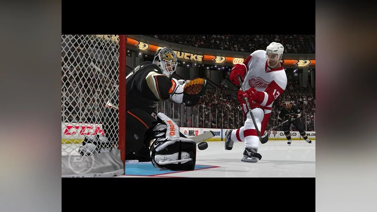 Скриншот из игры NHL 13 - 36
