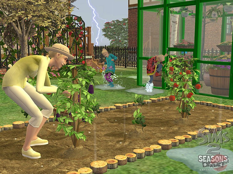 Скриншот из игры The Sims 2 - 80