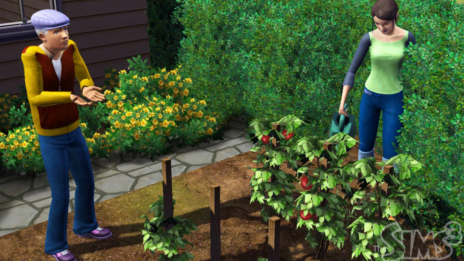 Скриншот из игры The Sims 3 - 90