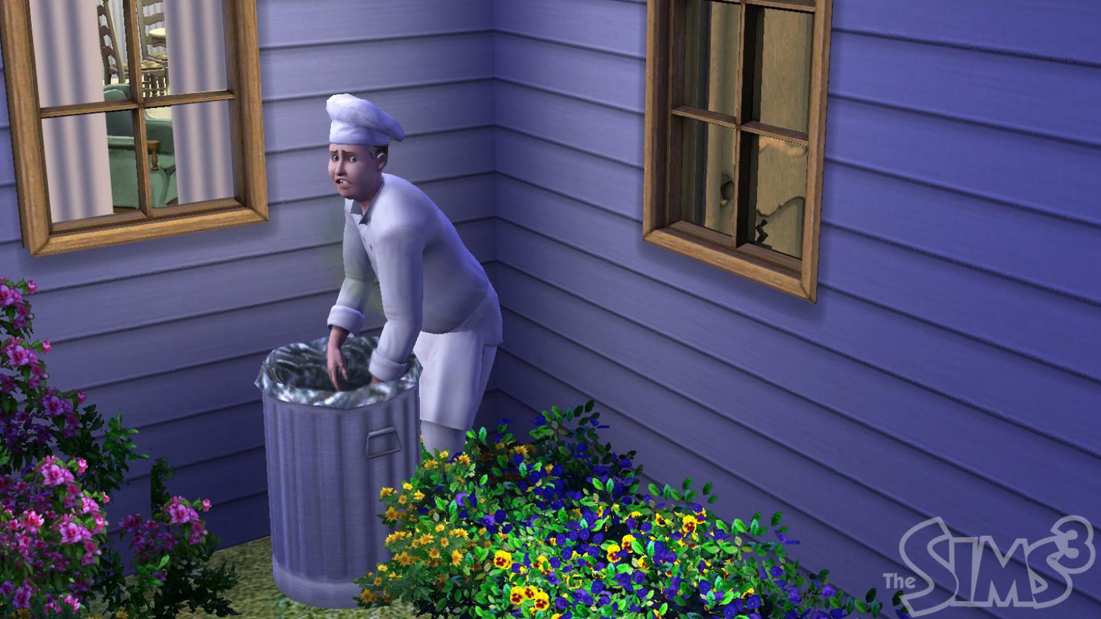 Скриншот из игры The Sims 3 - 144