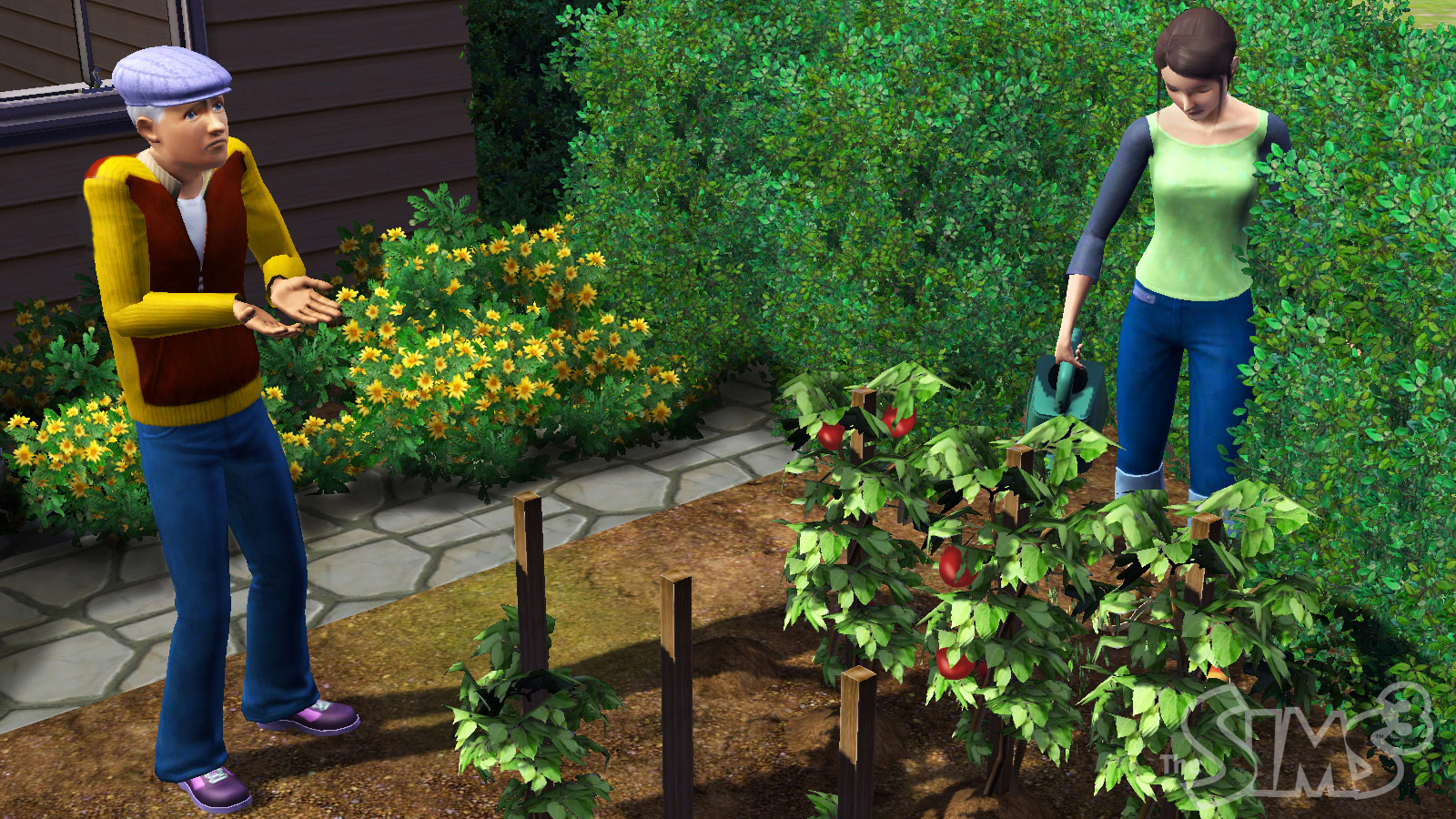 Скриншот из игры The Sims 3 - 137