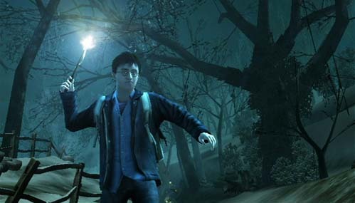 Скриншот из игры Harry Potter and the Deathly Hallows- Part 1 - 167