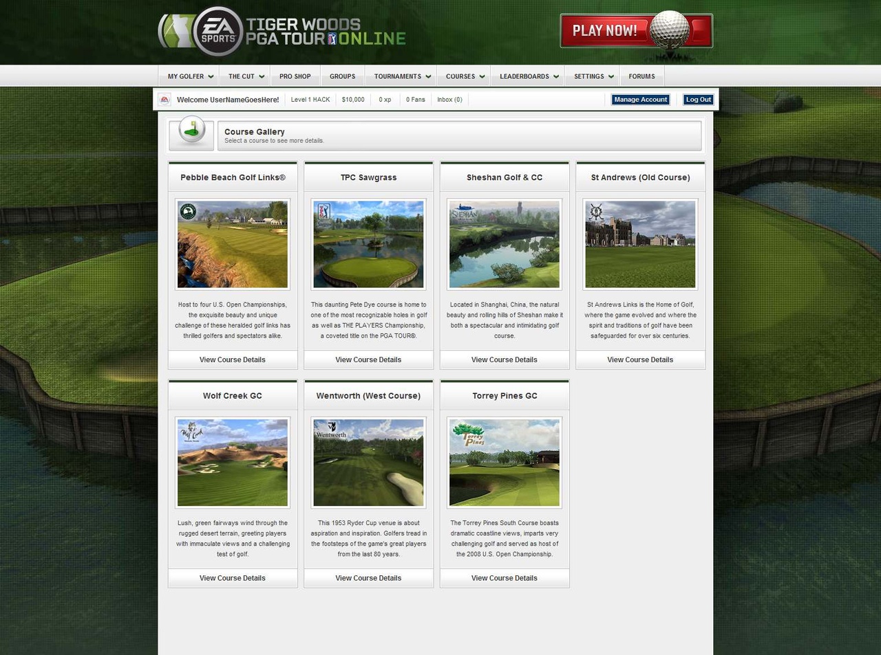 Скриншот из игры Tiger Woods PGA Tour Online - 72