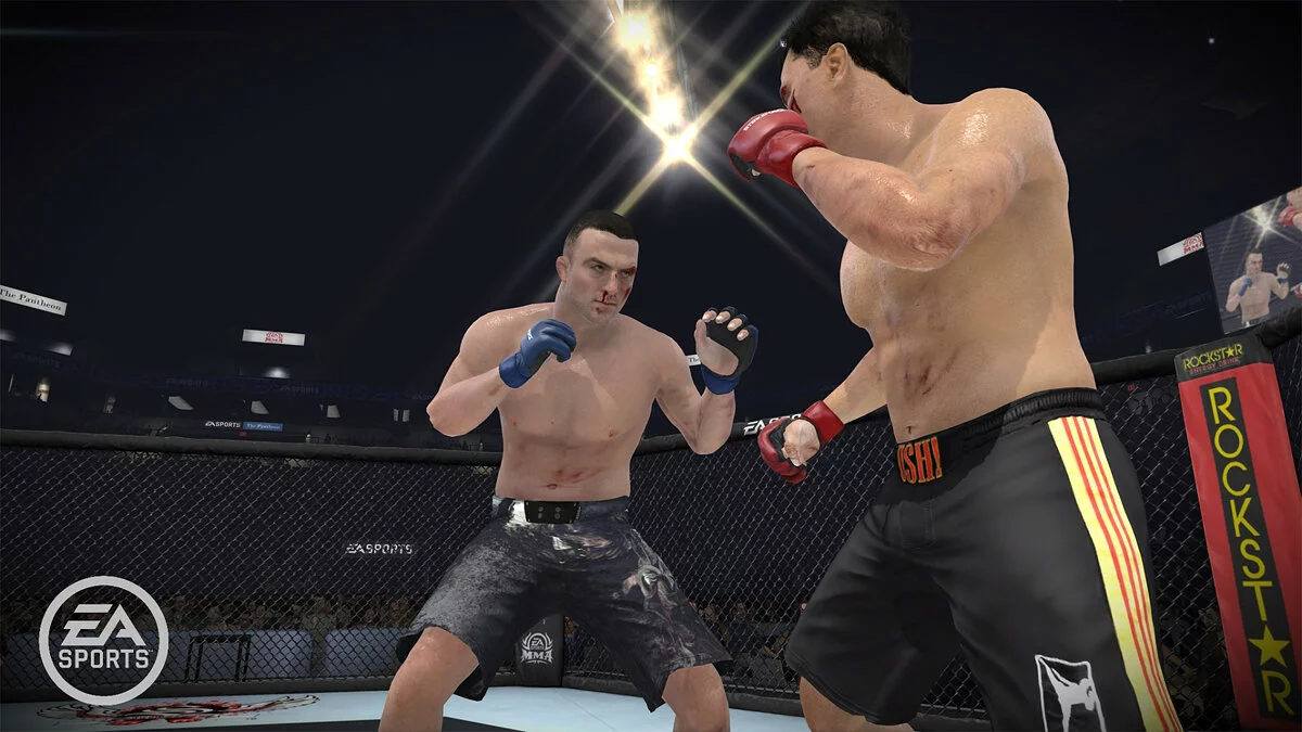 Скриншот из игры EA SPORTS MMA - 67