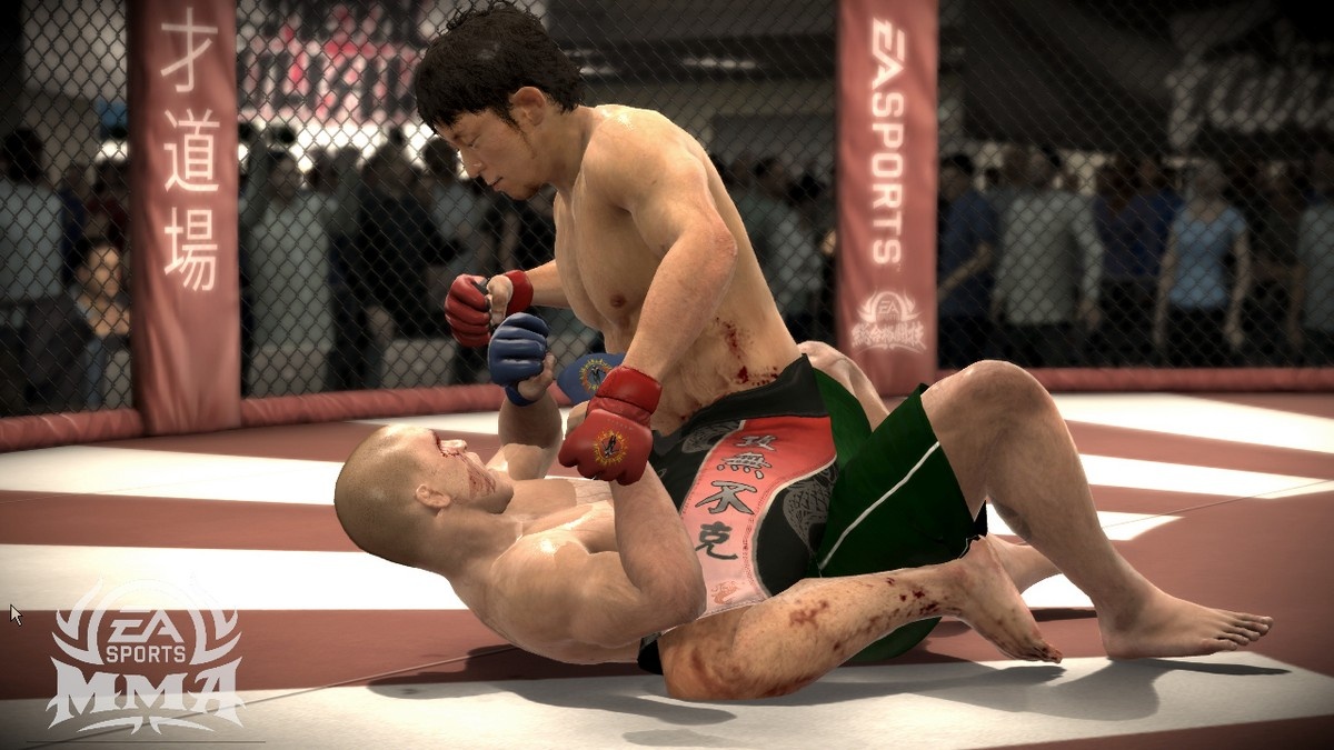 Скриншот из игры EA SPORTS MMA - 89