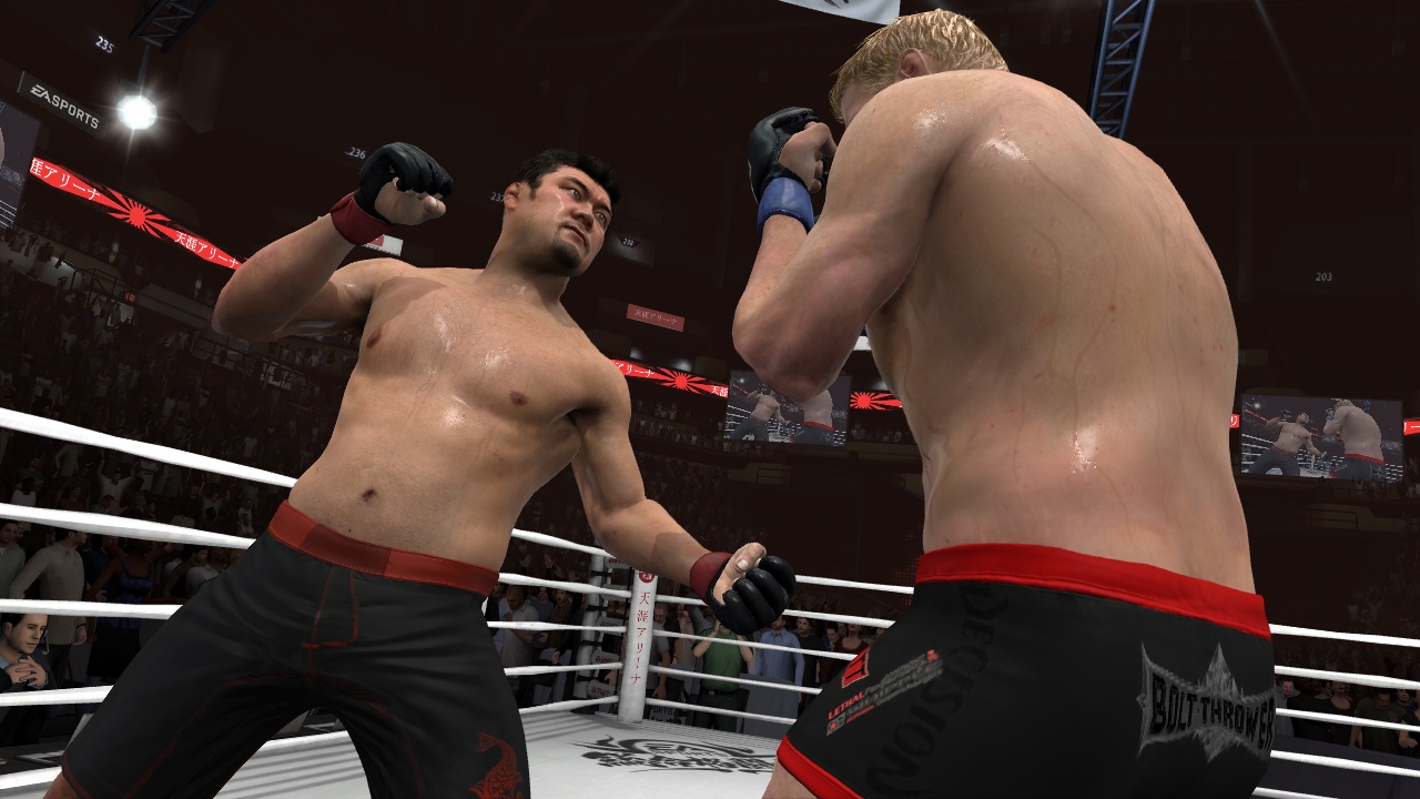 Скриншот из игры EA SPORTS MMA - 223