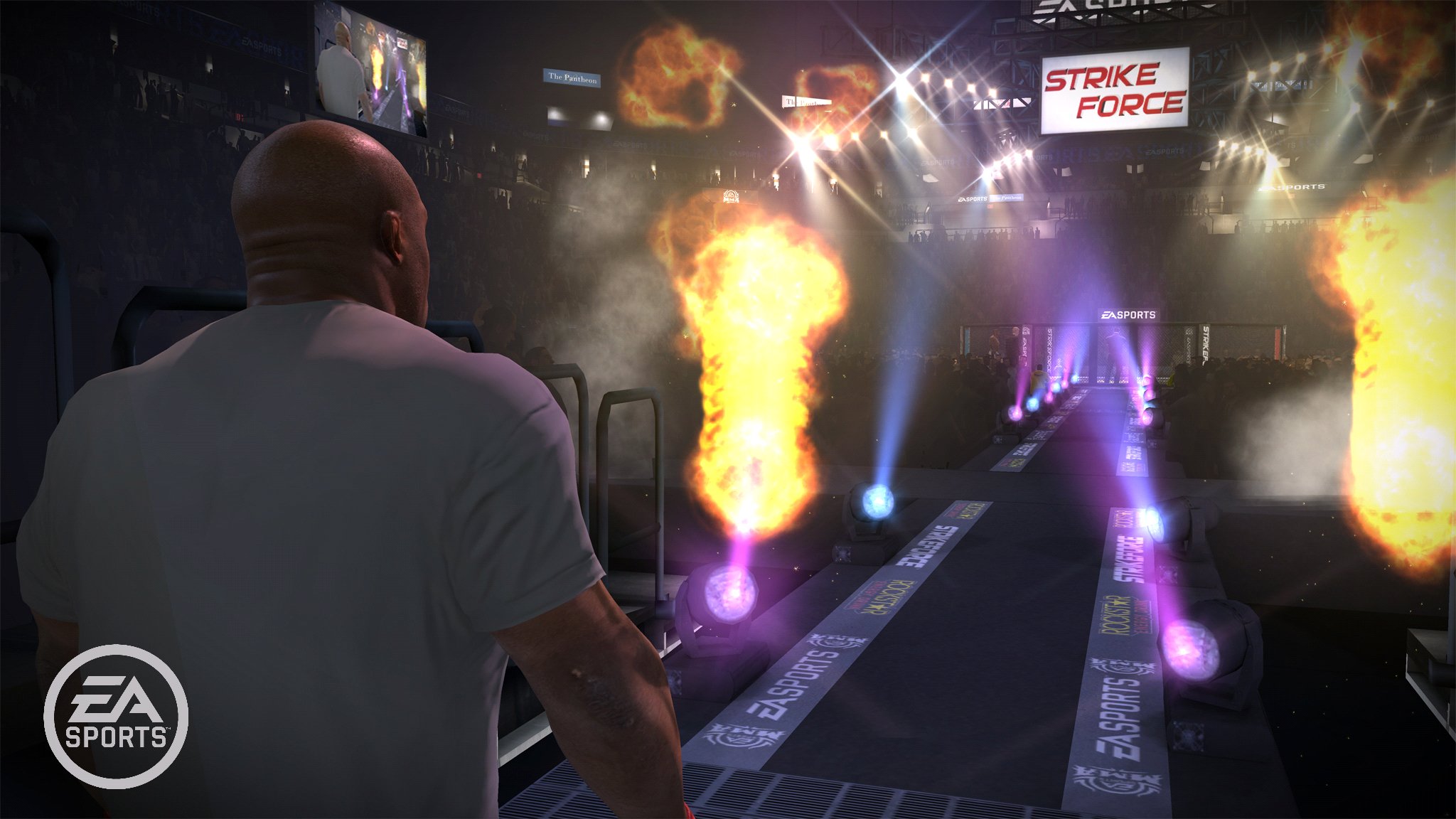 Скриншот из игры EA SPORTS MMA - 13