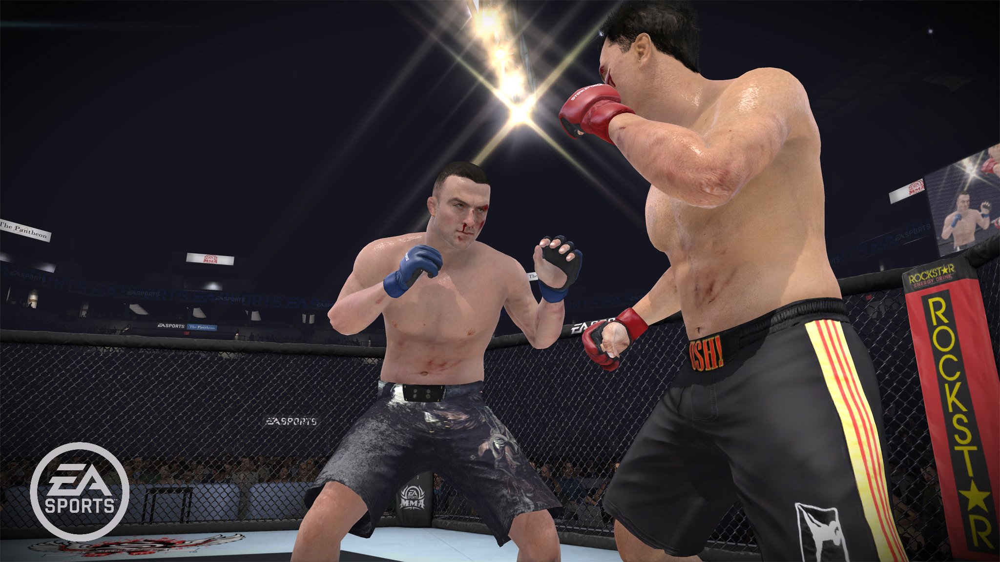 Скриншот из игры EA SPORTS MMA - 3