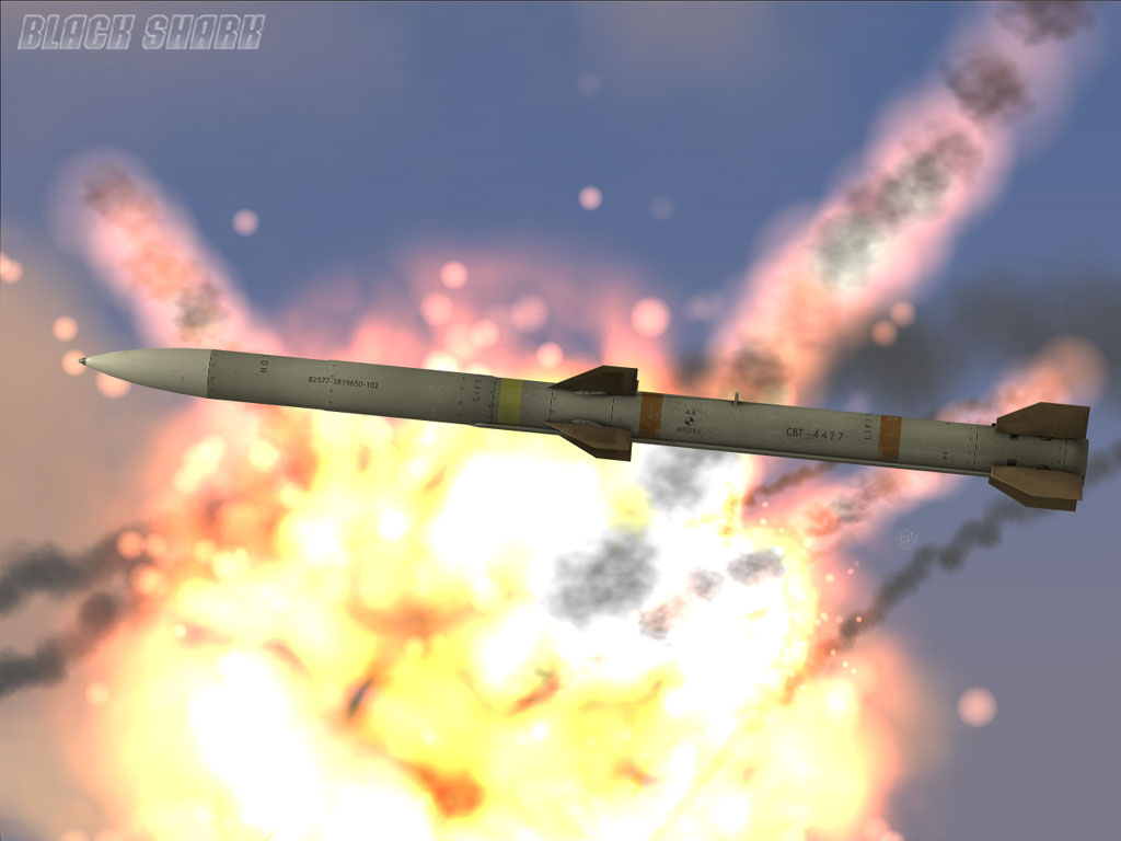 Скриншот из игры Ка-50 "Черная акула" - 17