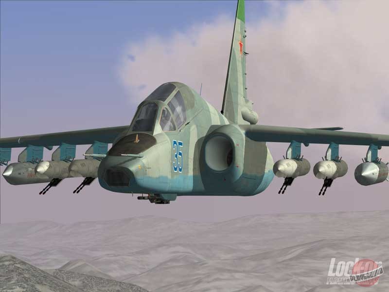 Скриншот из игры Lock On: Современная боевая авиация - 9