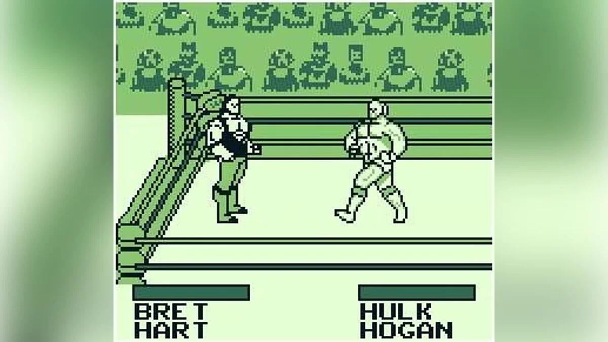 Скриншот из игры WWF King of the Ring - 5