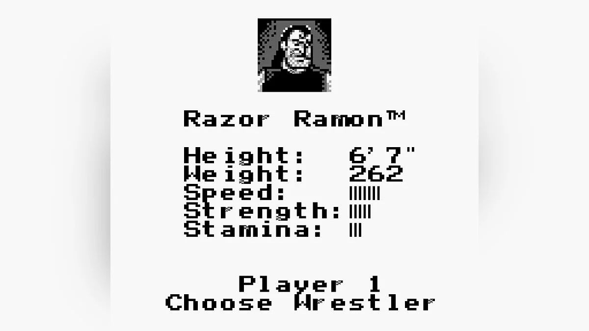 Скриншот из игры WWF King of the Ring - 2