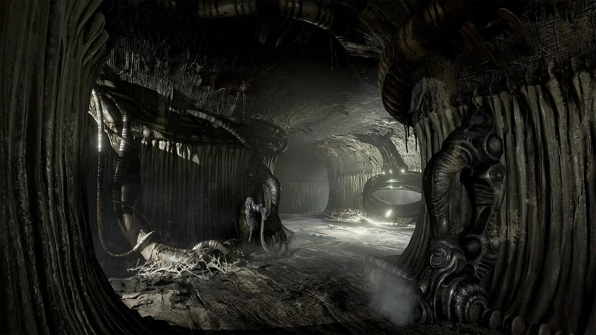 Скриншот из игры Scorn - 37