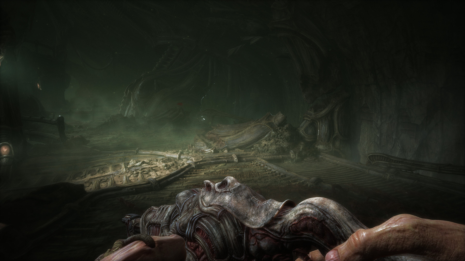 Скриншот из игры Scorn - 33