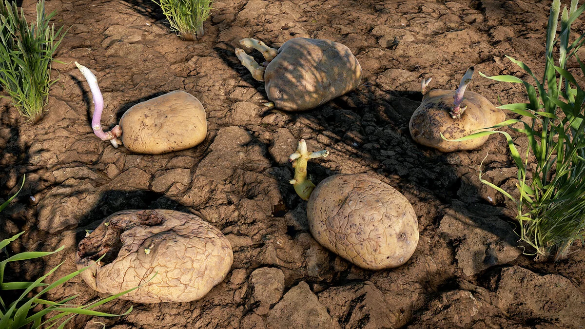 Скриншот из игры Dead Man's Country - 3