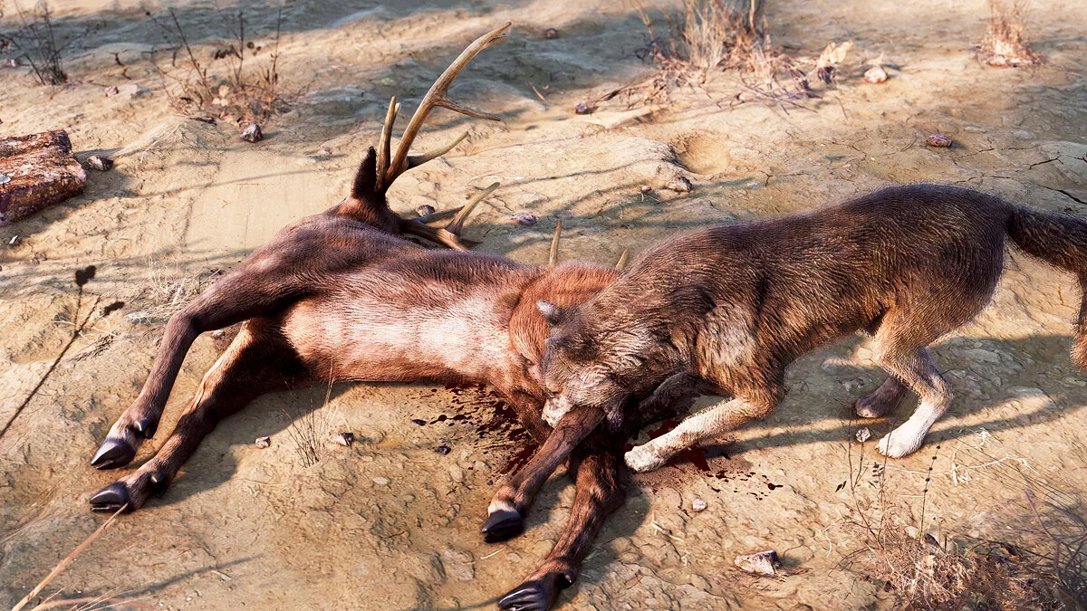 Скриншот из игры Dead Man's Country - 10