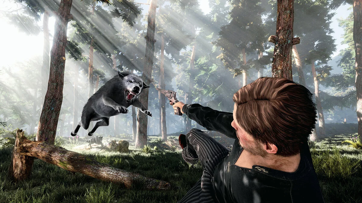 Скриншот из игры Dead Man's Country - 7