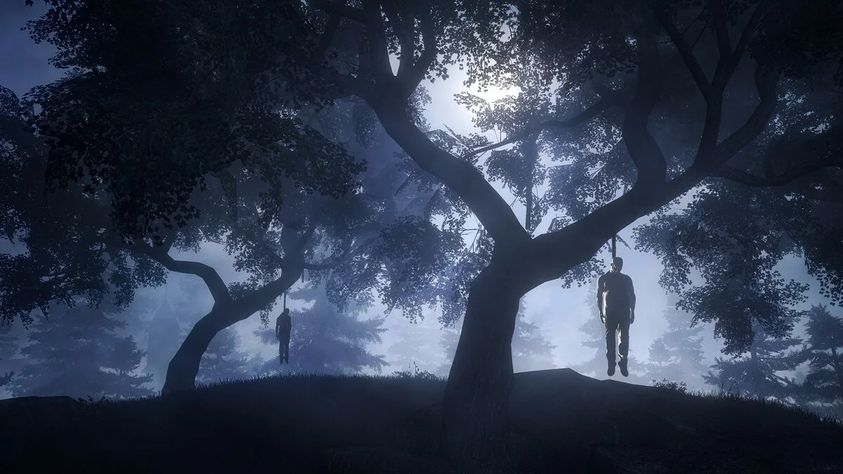 Скриншот из игры Dead Man's Country - 2